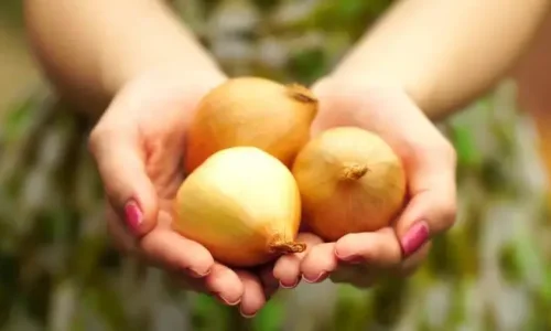 تجربتي مع قشر البصل للتنحيف وطريقه تحضيره