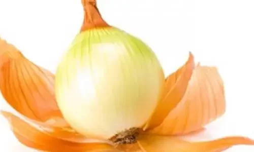 تعرف على تجربتي مع قشر البصل للشعر