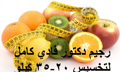 تجربتي مع رجيم الدكتور فادي لمدة 10 ايام وعيوب هذا النظام