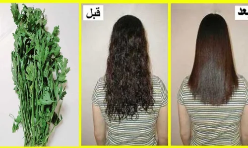 تجربتي مع مغلي البقدونس للشعر