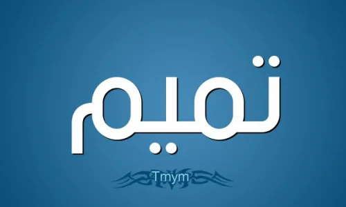 ما معنى اسم تميم