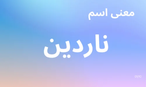 ما هو معنى اسم ناردين؟