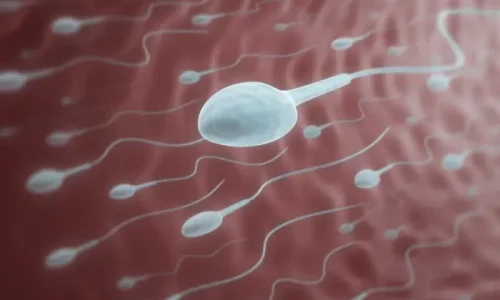 كم يستغرق علاج ضعف الحركة؟