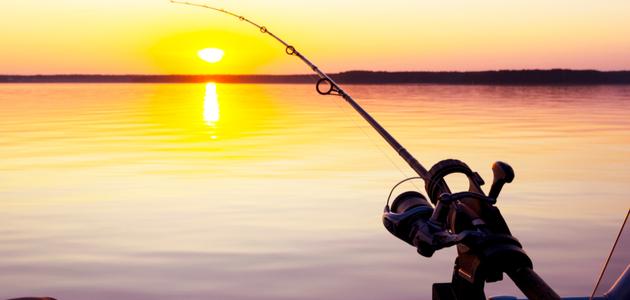 تعرف على تفسير اصطياد سمك في المنام لابن سيرين