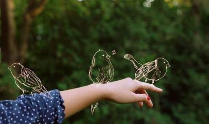 تعرف على تفسير حلم عصفور في البيت في المنام لابن سيرين