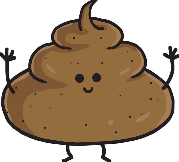 تعرف على تفسير رؤية البراز في المنام لابن سيرين