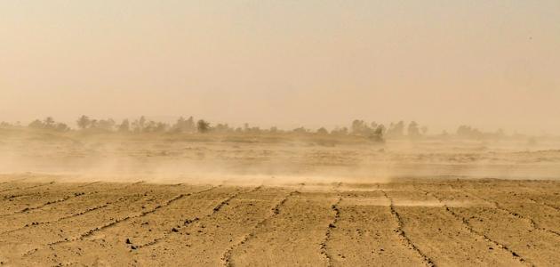 اعرف أكثر عن تفسير رؤية الغبار في المنام لابن سيرين