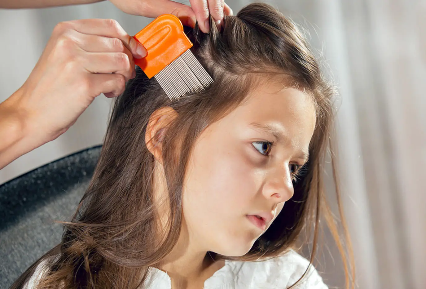 اعرف أكثر عن تفسير رؤية اكل القمل في المنام لابن سيرين