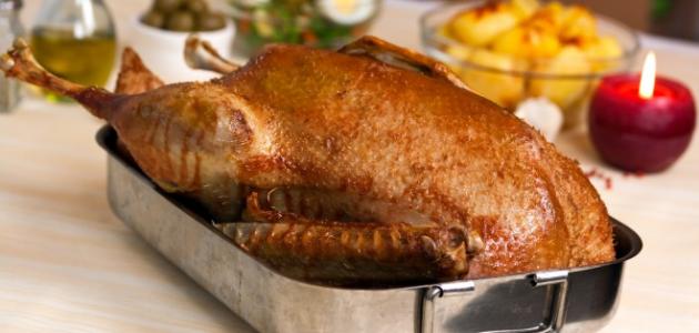 ما هو تفسير رؤية اكل البط في المنام للمتزوجة لابن سيرين