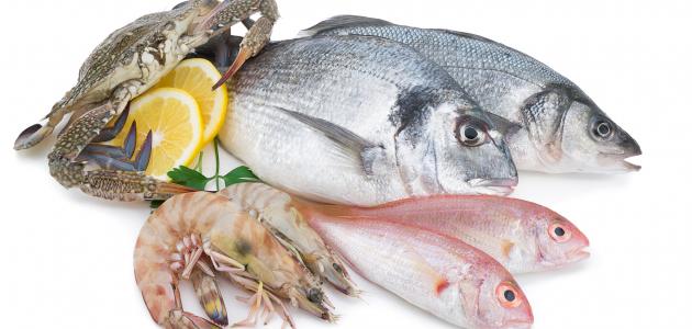 تعرف على تفسير حلم رؤية السمك في المنام لابن سيرين