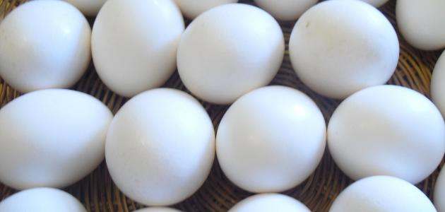 ما هو تفسير رؤية أكل البيض المسلوق في المنام لابن سيرين