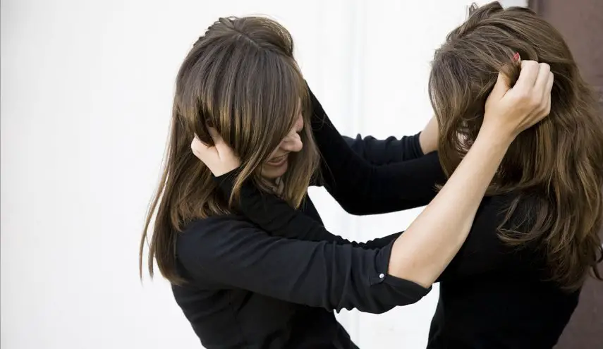 تأويلات ابن سيرين لتفسير حلم الشجار مع الأقارب في المنام